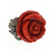 Scarlet's Rose