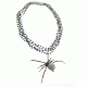 Spider's Web